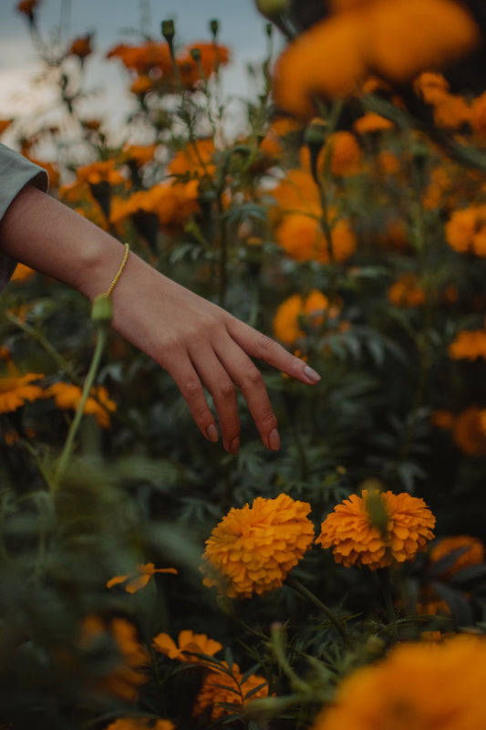 Goudsbloemen als natuurlijke bron van luteïne, een antioxidant in emerginC Hyper-Vitalizer Eye Cream